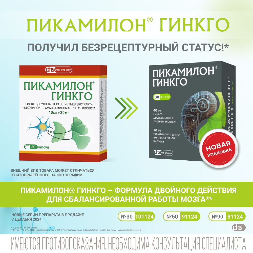 Пикамилон Гинкго, 20 мг+40 мг, капсулы, 90 шт.