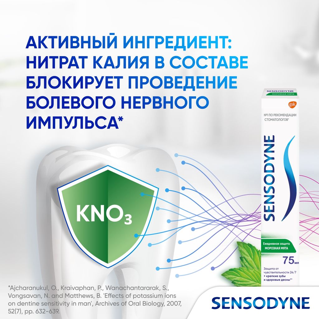 Зубная паста Sensodyne Ежедневная Защита Морозная мята, паста зубная, 75 мл, 1 шт.