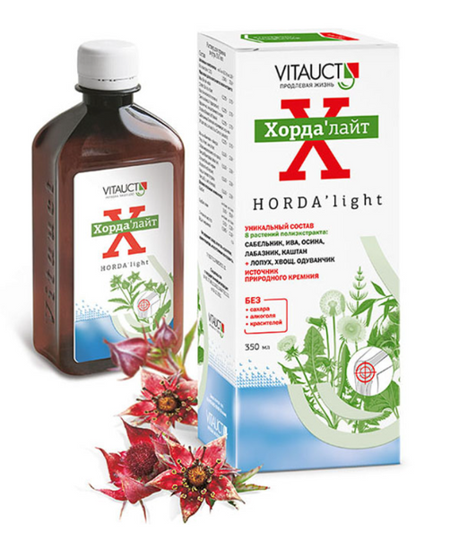 Vitauct Хордалайт, без сахара, раствор для приема внутрь, 350 мл, 1 шт.